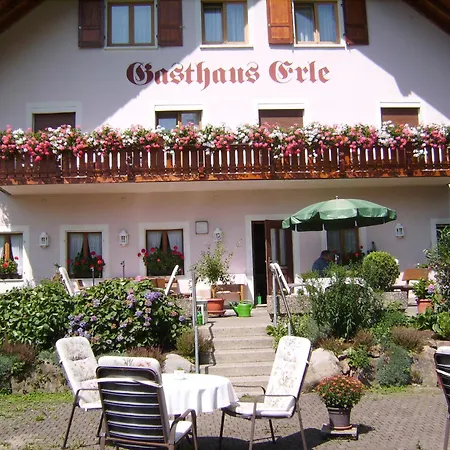 Gasthaus Zur Erle-2